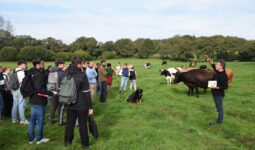 Un éleveur laitier finistérien accueille sur son exploitation des élèves de l'enseignement agricole pour leur faire découvrir son métier.