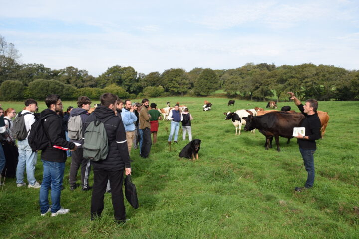 Un éleveur laitier finistérien accueille sur son exploitation des élèves de l'enseignement agricole pour leur faire découvrir son métier.