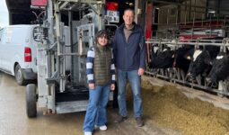 Une jeune femme et un homme devant une cage de parage à côté de vaches de race Holstein au cornadis