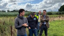Quatre hommes dans un décor agricole