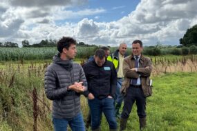 Quatre hommes dans un décor agricole