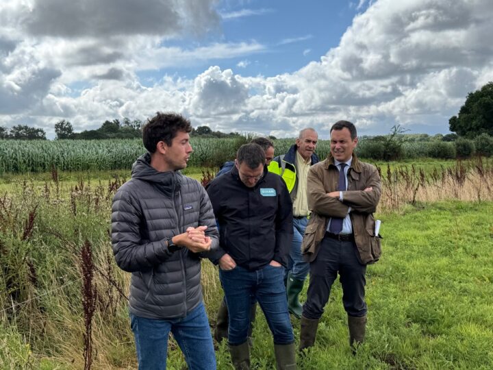 Quatre hommes dans un décor agricole
