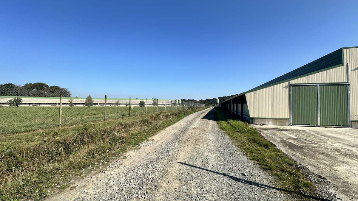 L'EARL de l'Etang était la première exploitation du département à se lancer en pondeuses bio.