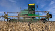 moissonneuse dans un champ de soja en Ukraine