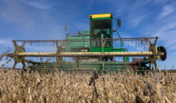 moissonneuse dans un champ de soja en Ukraine