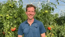 maraîcher devant des pieds de tomates sous serre