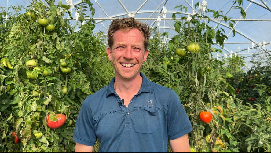 maraîcher devant des pieds de tomates sous serre - Illustration La vidéo de la semaine : « Les paysans doivent entretenir le paysage »