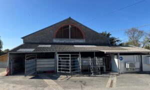 Aperçu d'un abattoir du côté de la réception des animaux