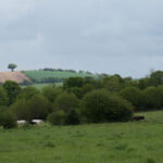 Une paysage de campagne bretonne où apparaissent quelques vaches laitières