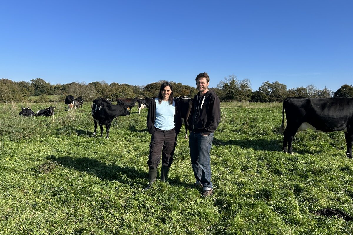 Un couple devant leurs vaches en pâture - Illustration FCO, un grain de sable dans la mécanique