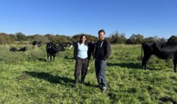 Un couple devant leurs vaches en pâture
