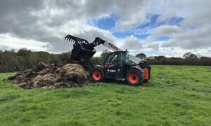 Télescopique Bobcat manipulant du fumier