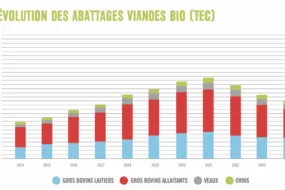 Graphique de l'évolution des abattages de viandes bio 2014-2024