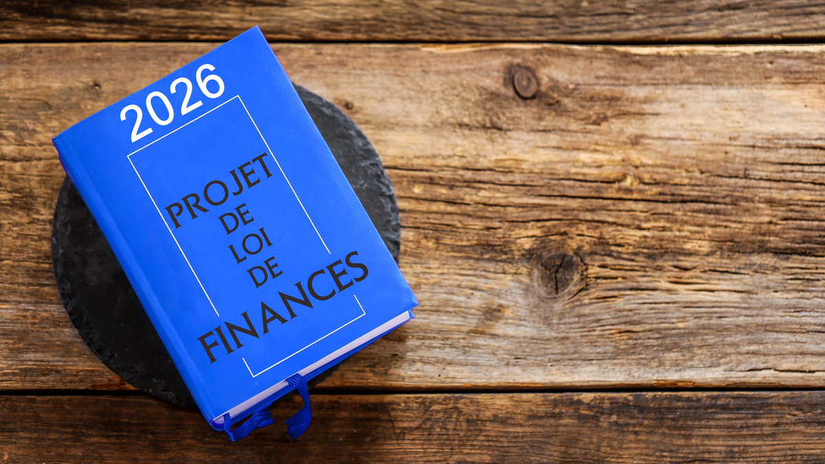 Un livre intitulé projet de loi de finances 2026 posé sur une table en bois - Illustration Ce qui ressort de l’examen du budget