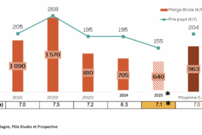 Graphique de l'évolution de la marge brute blé des exploitations bretonnes de 2021 à 2025