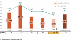 Graphique de l'évolution de la marge brute blé des exploitations bretonnes de 2021 à 2025