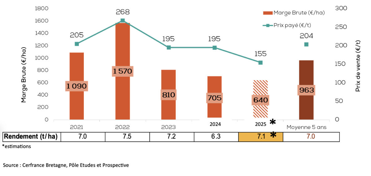 Graphique de l'évolution de la marge brute blé des exploitations bretonnes de 2021 à 2025 - Illustration Une nouvelle année décevante en cultures