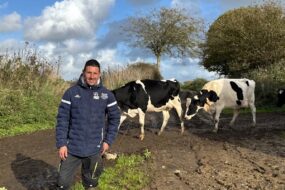 Un éleveur devant deux vaches de race Prim'Holstein.