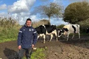 Un éleveur devant deux vaches de race Prim'Holstein.