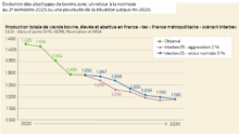 graphique de l'évolution de la production totale de viande bovine élevée et abattue en france à partir de 2020 avec projection jusqu'à 2030