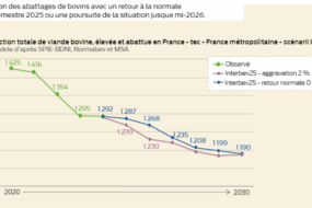 graphique de l'évolution de la production totale de viande bovine élevée et abattue en france à partir de 2020 avec projection jusqu'à 2030