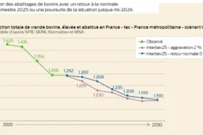 graphique de l'évolution de la production totale de viande bovine élevée et abattue en france à partir de 2020 avec projection jusqu'à 2030