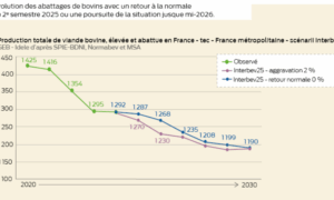 graphique de l'évolution de la production totale de viande bovine élevée et abattue en france à partir de 2020 avec projection jusqu'à 2030