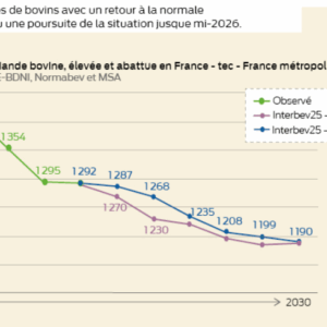 graphique de l'évolution de la production totale de viande bovine élevée et abattue en france à partir de 2020 avec projection jusqu'à 2030