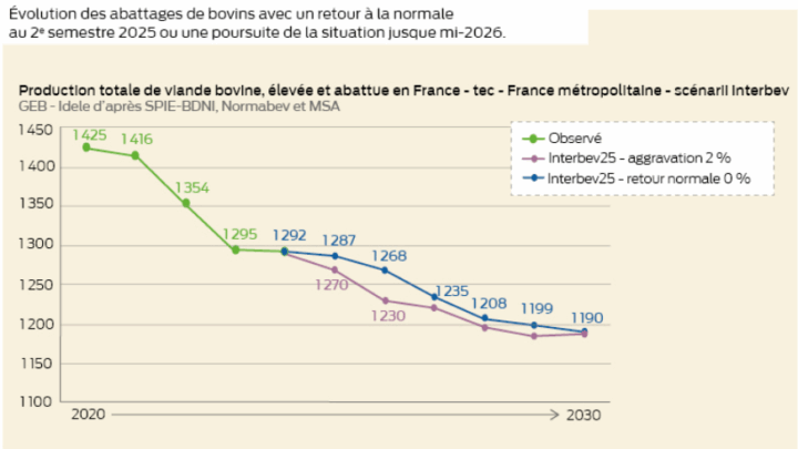 graphique de l'évolution de la production totale de viande bovine élevée et abattue en france à partir de 2020 avec projection jusqu'à 2030