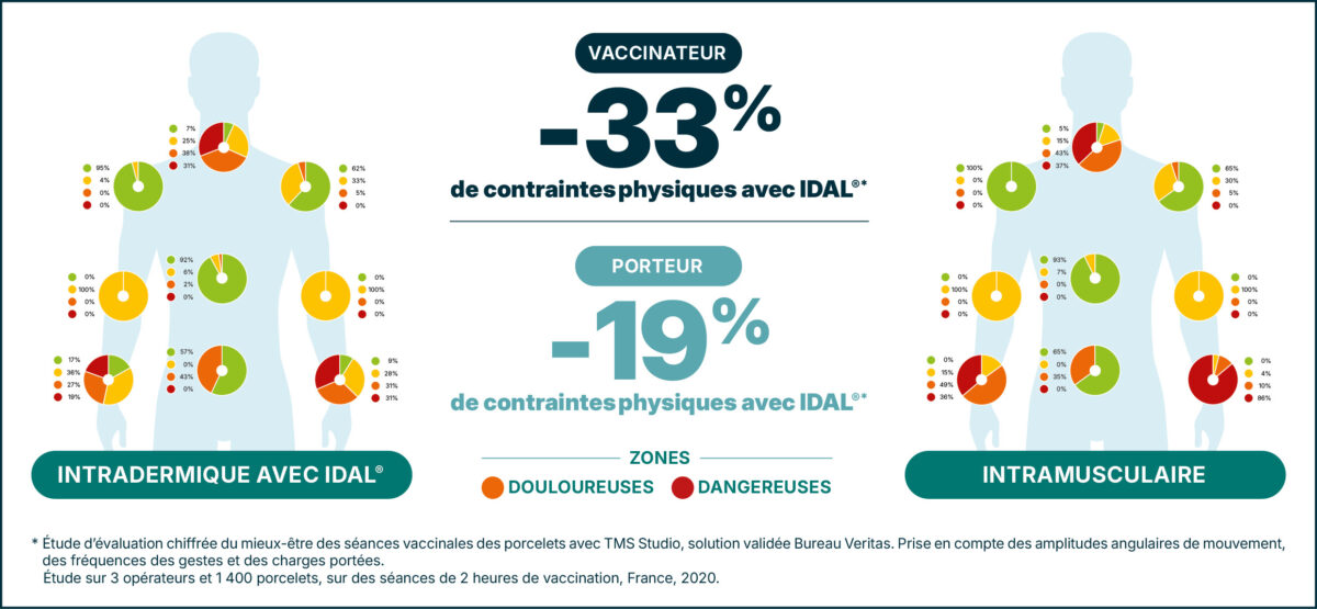 idal resultats etude vaccination porcelet