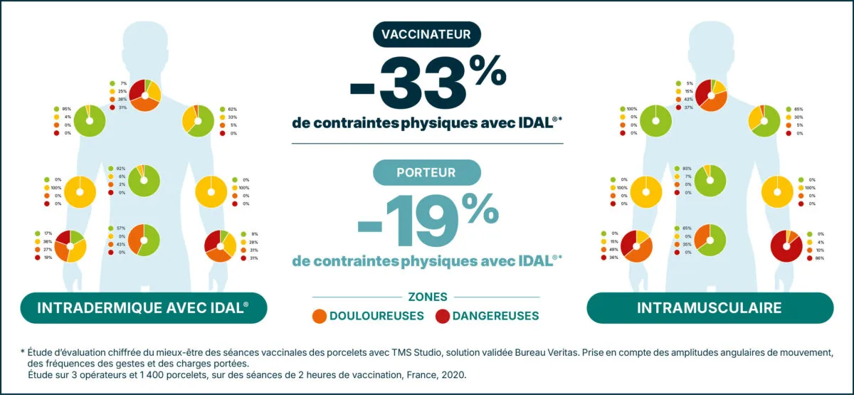 idal resultats etude vaccination porcelet