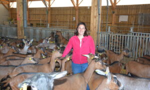 Une éleveuse parmi ses chèvres dans un bâtiment d'élevage de chèvres