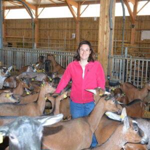 Une éleveuse parmi ses chèvres dans un bâtiment d'élevage de chèvres