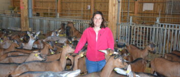 Une éleveuse parmi ses chèvres dans un bâtiment d'élevage de chèvres