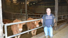 Un homme devant des vaches allaitantes dans une stabulation