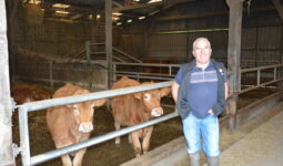 Un homme devant des vaches allaitantes dans une stabulation