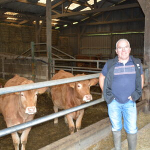 Un homme devant des vaches allaitantes dans une stabulation