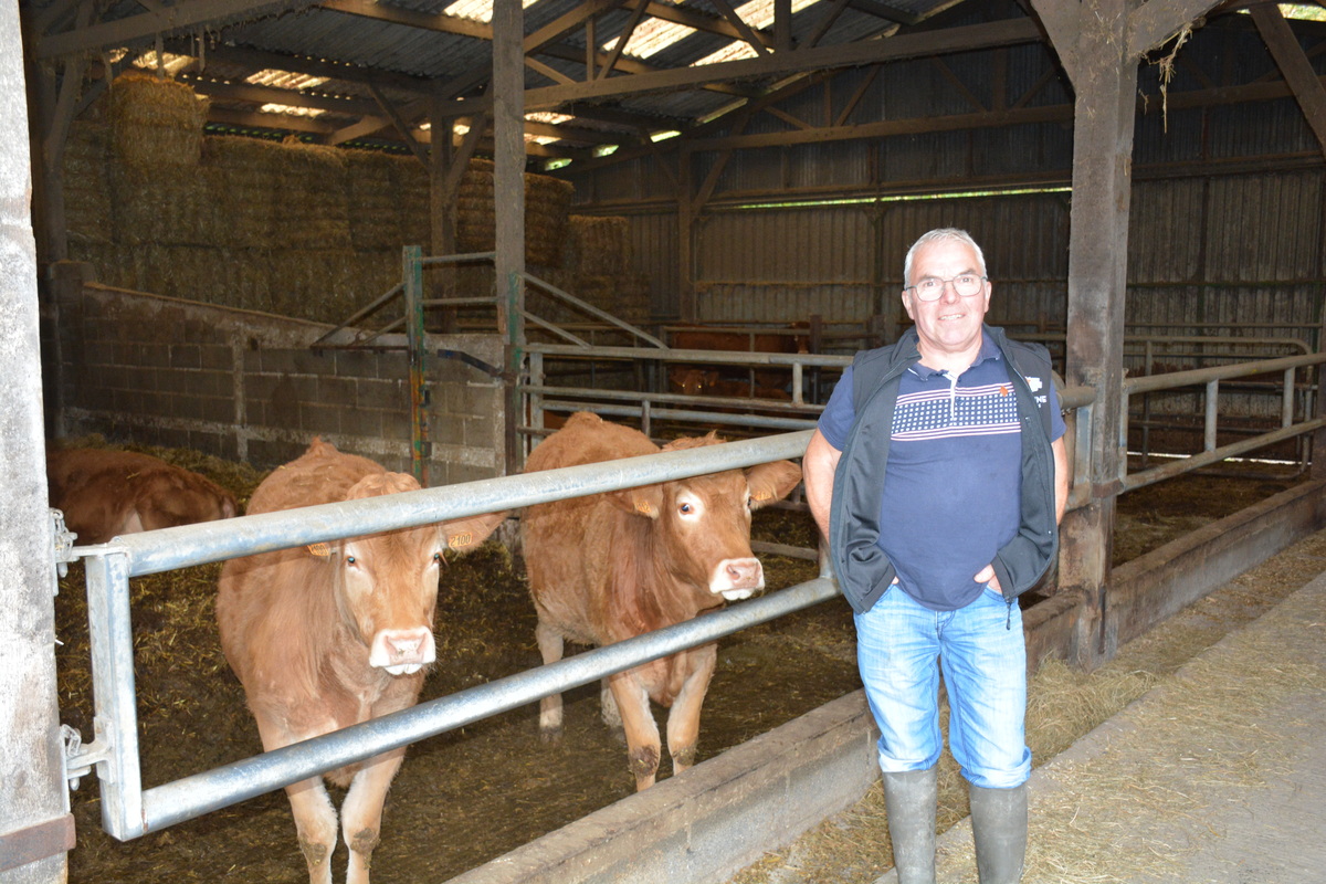 Un homme devant des vaches allaitantes dans une stabulation - Illustration S’adapter pour transmettre 30 hectares