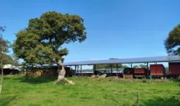 Un hangar agricole avec une toit en panneaux photovoltaïques