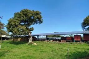 Un hangar agricole avec une toit en panneaux photovoltaïques