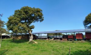 Un hangar agricole avec une toit en panneaux photovoltaïques