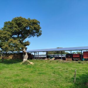 Un hangar agricole avec une toit en panneaux photovoltaïques