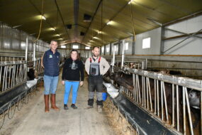 Une femme et deux hommes dans l'allée centrale d'un bâtiment de veaux