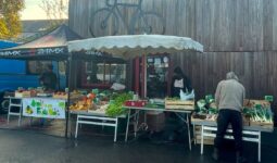Étal de légumes sur un marché avec des personnes