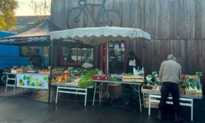 Étal de légumes sur un marché avec des personnes