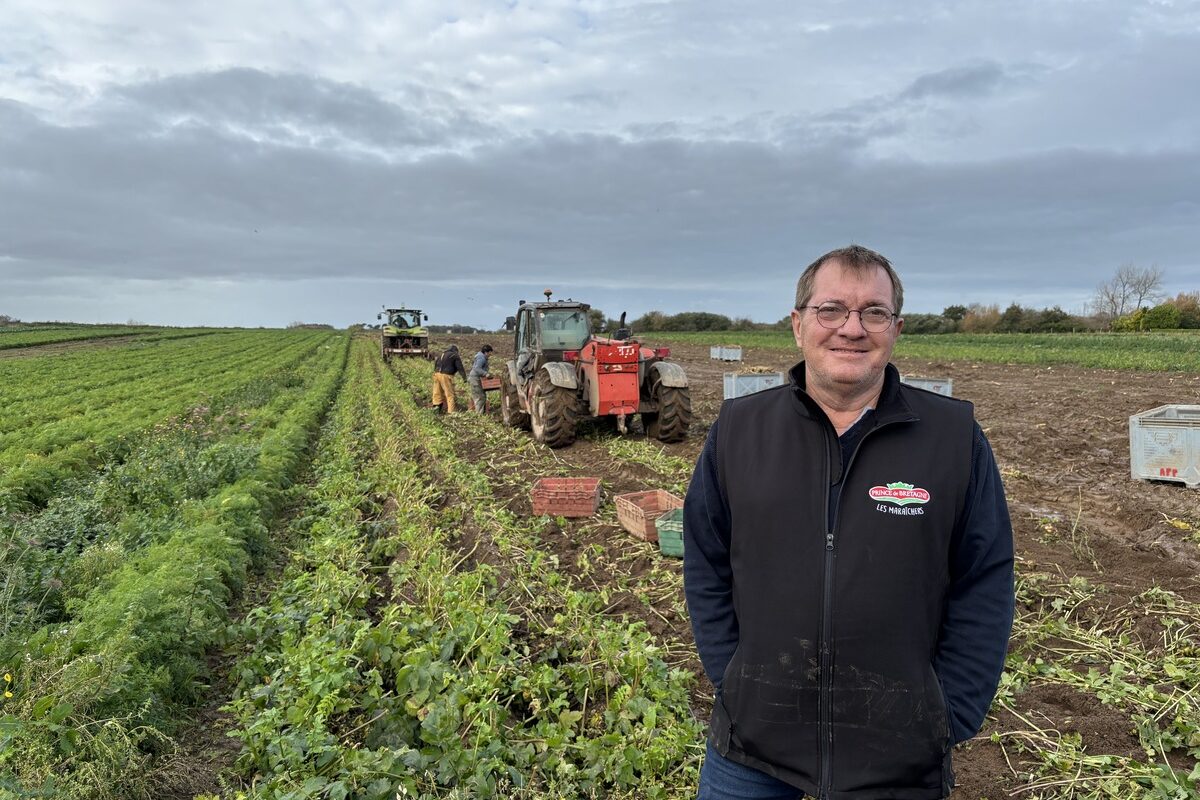 Une personne devant un champ de panais - Illustration Des légumes anciens au goût du jour