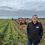 Une personne devant un champ de panais