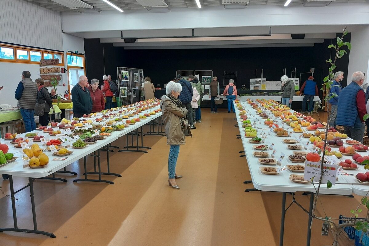 Une salle avec une exposition de pommes - Illustration Conférence sur les pommes