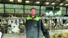 Un homme dans un bâtimentagricole avec des vaches au cornadis deriière