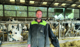 Un homme dans un bâtimentagricole avec des vaches au cornadis deriière